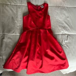 Red Dress with Gold Zipper